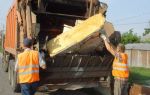 Вывоз крупногабаритного мусора: особенности и условия процедуры